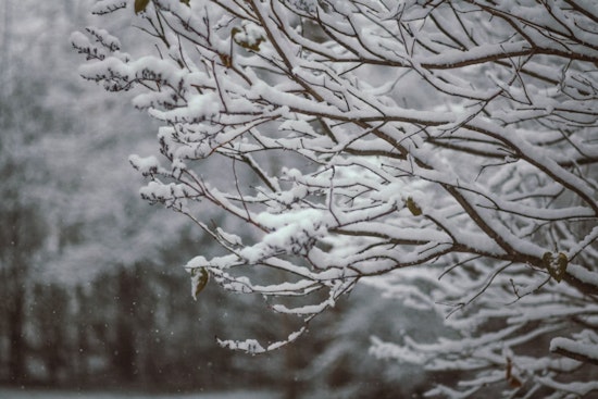 Boston Braces for Major Winter Blast as Frigid Temps and Up to 16 Inches of Snow Expected