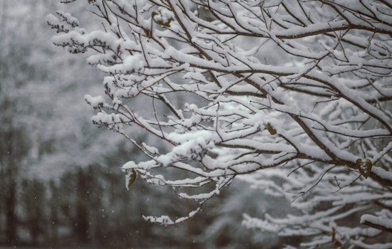 Boston Braces for Major Winter Blast as Frigid Temps and Up to 16 Inches of Snow Expected