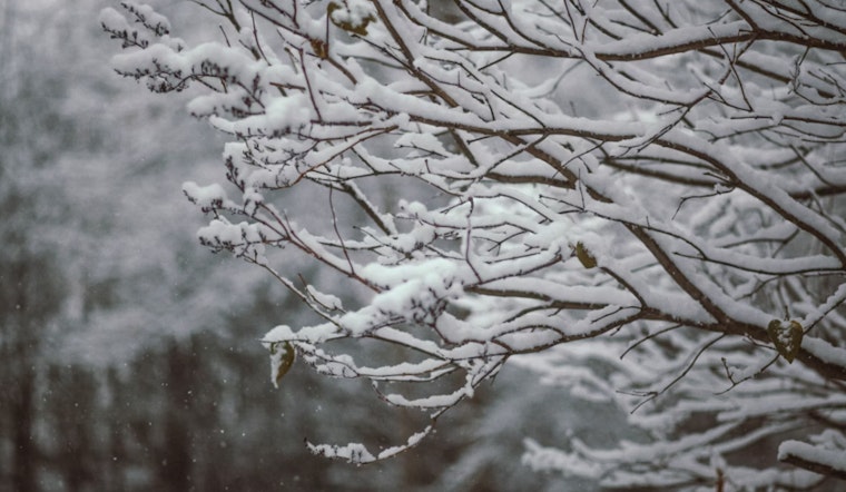 Boston Braces for Major Winter Blast as Frigid Temps and Up to 16 Inches of Snow Expected