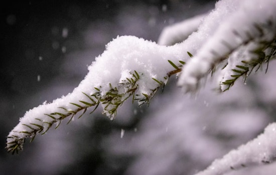 Boston Braces for Wintry Mix with Snow and Rain in the Forecast