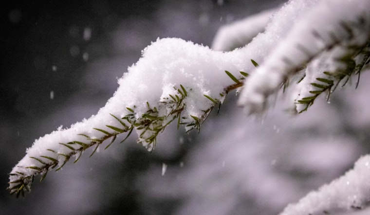 Boston Braces for Wintry Mix with Snow and Rain in the Forecast