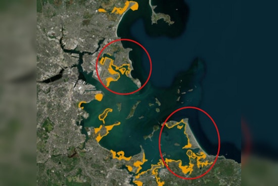 Boston Harbor’s Shellfishing Revival as Water Quality Improves