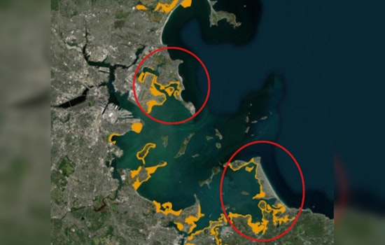 Boston Harbor’s Shellfishing Revival as Water Quality Improves