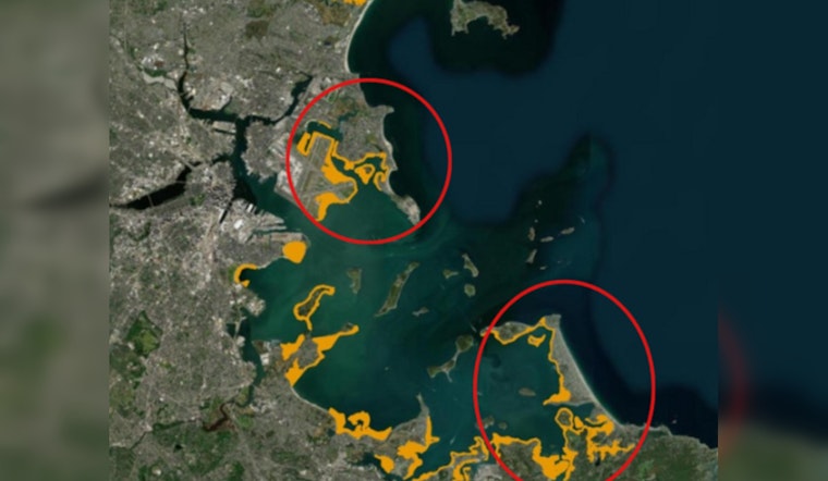 Boston Harbor’s Shellfishing Revival as Water Quality Improves
