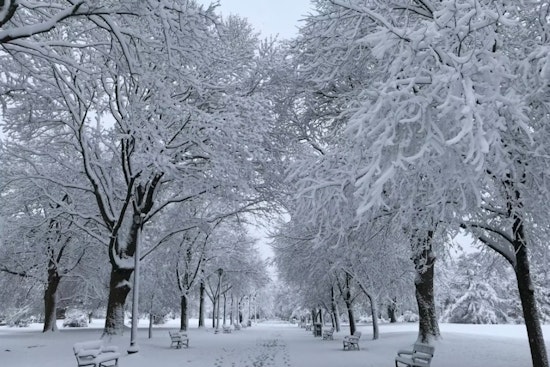 Boston Mayor Michelle Wu Declares Cold Emergency Ahead of Severe Freeze