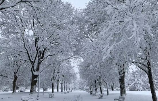 Boston Mayor Michelle Wu Declares Cold Emergency Ahead of Severe Freeze