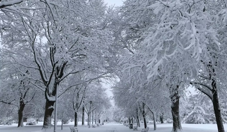 Boston Mayor Michelle Wu Declares Cold Emergency Ahead of Severe Freeze