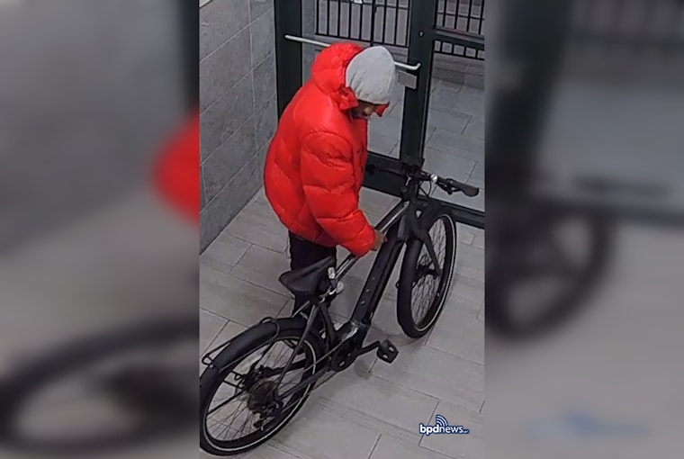 Boston Police Seek Public's Assistance to Identify Suspect in Roxbury Package Theft