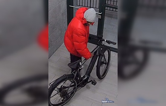 Boston Police Seek Public's Assistance to Identify Suspect in Roxbury Package Theft