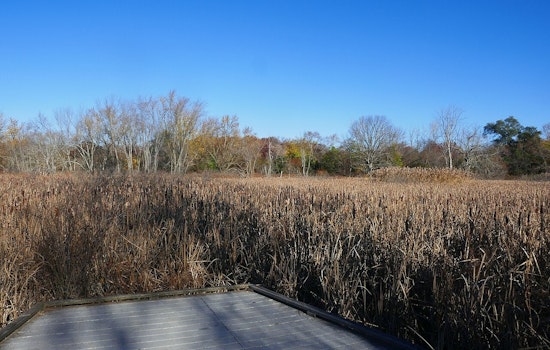 Boston Secures $400K Grant for Climate Resilience Project at Mass Audubon’s Boston Nature Center
