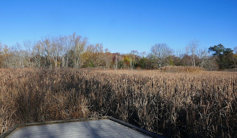 Boston Secures $400K Grant for Climate Resilience Project at Mass Audubon’s Boston Nature Center