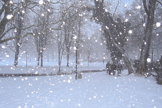 Boston Wakes to Martin Luther King Jr. Day Snow Showers with Arctic Chill in the Forecast
