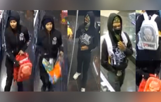 Brazen TC Jester Smoke Shop Heist Has Houston Cops Calling In Backup From Locals