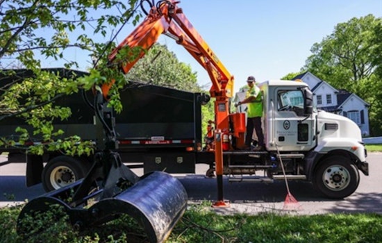 Brentwood Offers Free Vegetative Debris Removal for Storm-Affected Residents with Set Guidelines