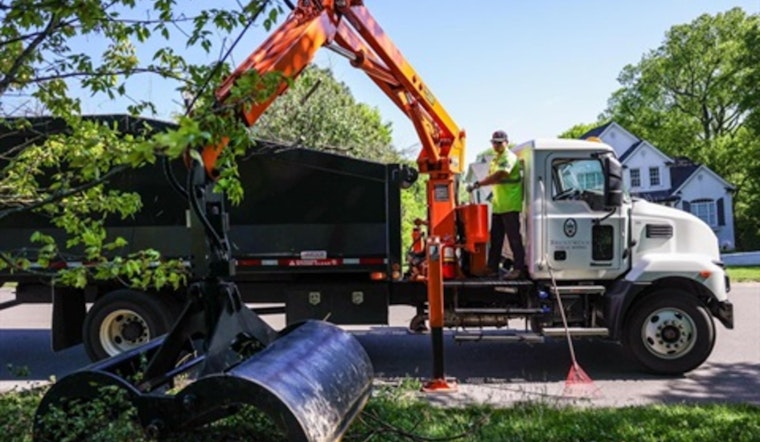 Brentwood Offers Free Vegetative Debris Removal for Storm-Affected Residents with Set Guidelines
