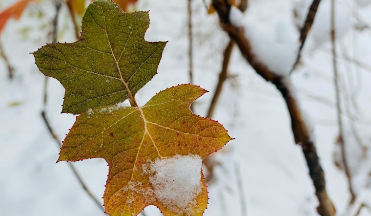 Brisk MLK Day Snow Showers Usher in Icy Week for Detroit Residents