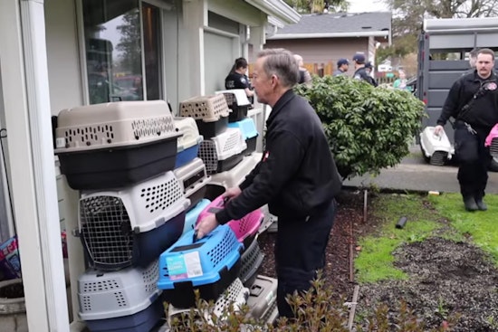 Buckley Police Seize Over 100 Cats in Unsanitary Conditions, Community Asked to Aid in Recovery Efforts