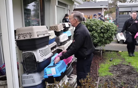 Buckley Police Seize Over 100 Cats in Unsanitary Conditions, Community Asked to Aid in Recovery Efforts