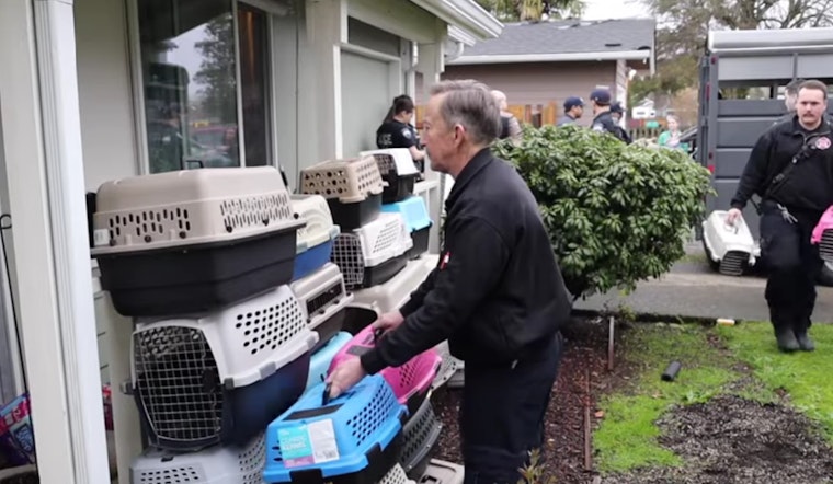 Buckley Police Seize Over 100 Cats in Unsanitary Conditions, Community Asked to Aid in Recovery Efforts