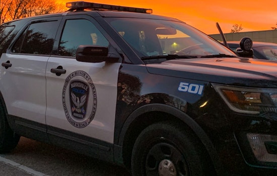 Burnsville Police Arrest Suspect Dashawn Newton in New Year's Day Assault at Crystal Lake Park