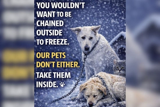 Butler County Sheriff's Office Issues Urgent Winter Pet Safety Advisory on Social Media