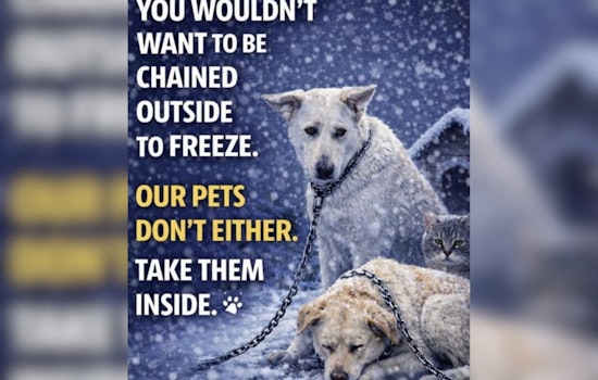 Butler County Sheriff's Office Issues Urgent Winter Pet Safety Advisory on Social Media
