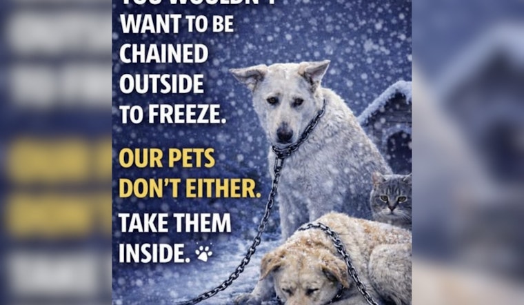 Butler County Sheriff's Office Issues Urgent Winter Pet Safety Advisory on Social Media