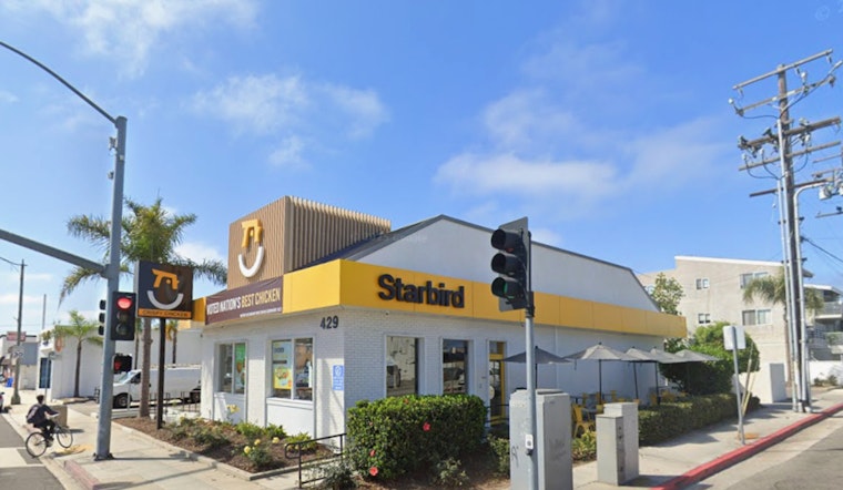 California Chicken Darling Starbird Locks In First Seattle Nest
