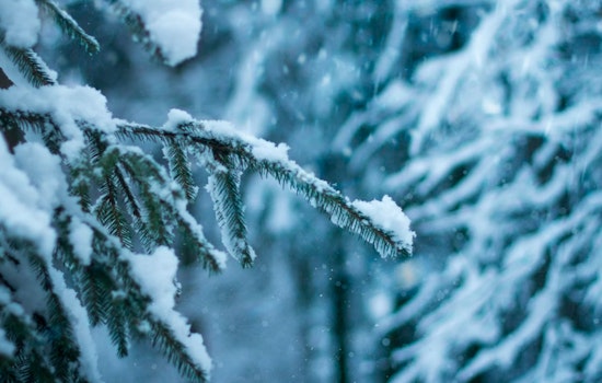 Charlotte Braces for Major Winter Storm as NWS Warns of Ice Accumulations and Travel Hazards Ahead