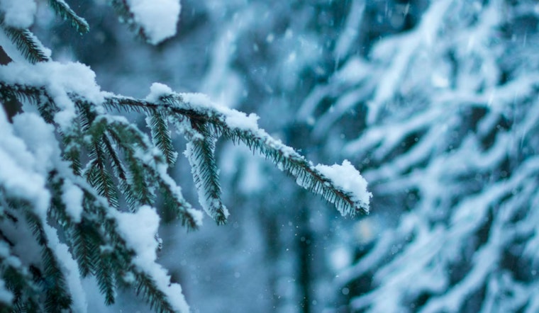 Charlotte Braces for Major Winter Storm as NWS Warns of Ice Accumulations and Travel Hazards Ahead