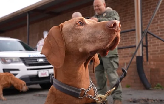 Charlotte-Mecklenburg Police Department's "Officer Good Boi" Title Goes to Airport Unit K-9 for the First Time