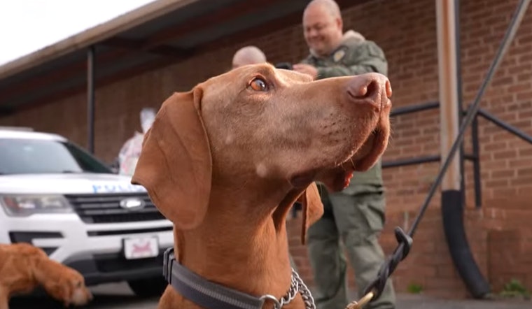 Charlotte-Mecklenburg Police Department's "Officer Good Boi" Title Goes to Airport Unit K-9 for the First Time