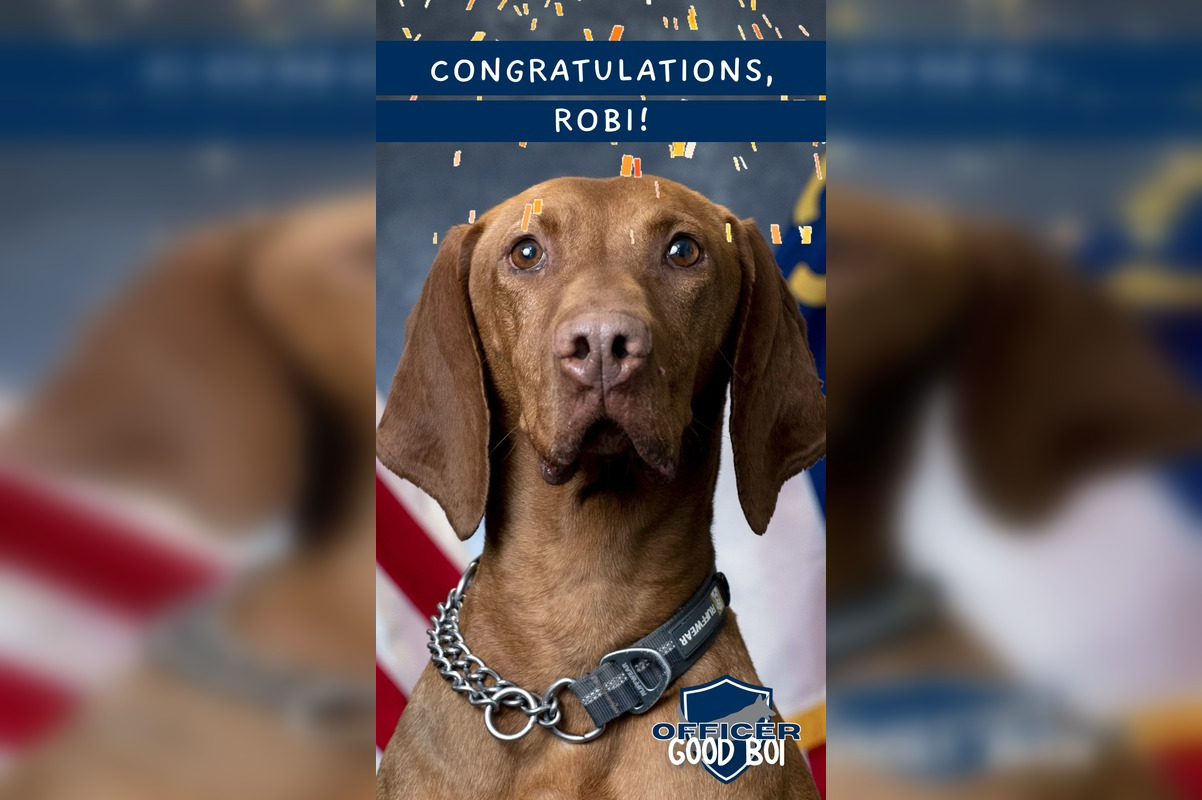 Titul Robi Charlotte's K9 Hero Robi Sniffs Out 'Officer Good Boi of 2025' Title