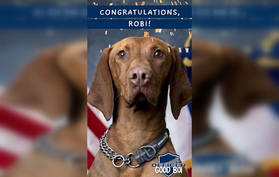 Charlotte's K9 Hero Robi Sniffs Out 'Officer Good Boi of 2025' Title with Partner Officer Lewis