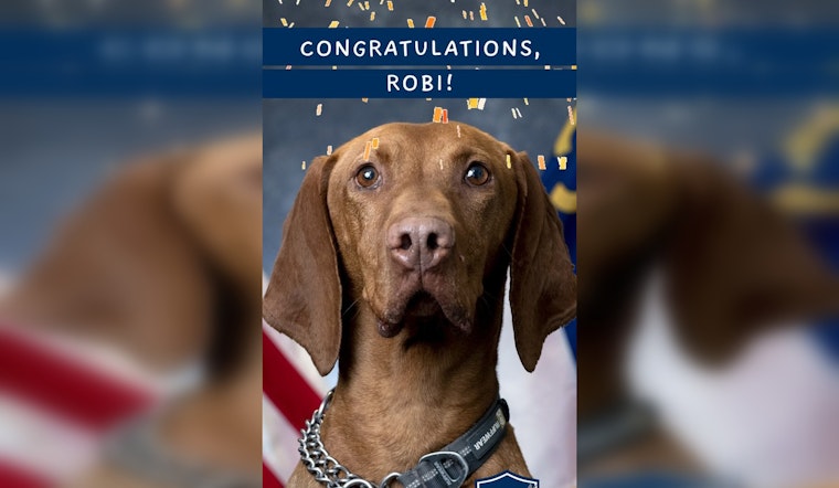 Charlotte's K9 Hero Robi Sniffs Out 'Officer Good Boi of 2025' Title with Partner Officer Lewis
