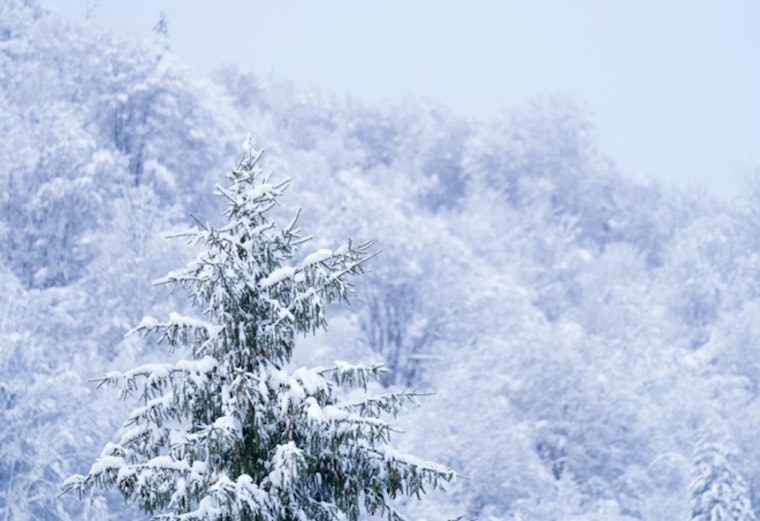 Chicago and Northwest Indiana Brace for Heavy Snowfall Amid Winter Weather Advisories