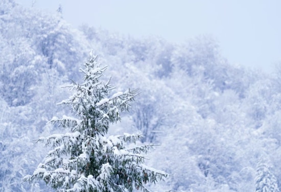Chicago and Northwest Indiana Brace for Heavy Snowfall Amid Winter Weather Advisories