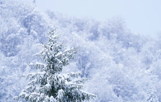 Chicago and Northwest Indiana Brace for Heavy Snowfall Amid Winter Weather Advisories