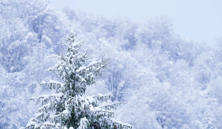 Chicago and Northwest Indiana Brace for Heavy Snowfall Amid Winter Weather Advisories