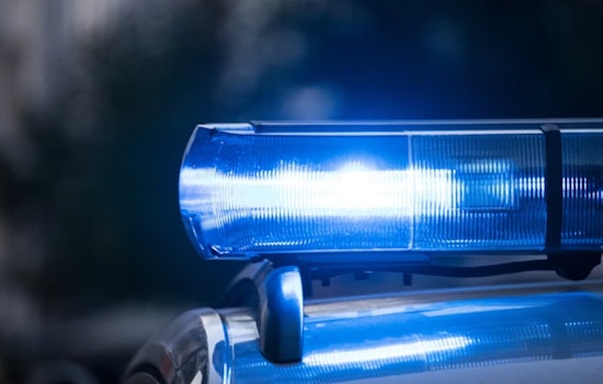 Chicago Girl, 14, Scarred in Alleged Acid Attack by Bullies