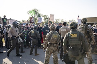 Chicago in Uproar: Anti-ICE Fury Swells after Minneapolis Nurse Slain by Border Patrol, Demands for Justice Echo Across the Nation