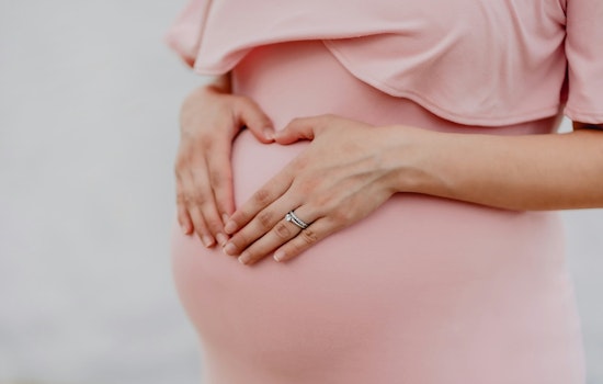Chicago Lab's Hair-Thin Robo Probe Lets Surgeons Track Babies in the Womb