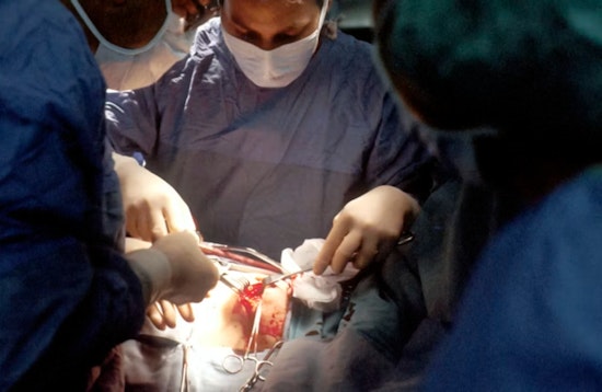 Chicago On Edge As Kidney Donor Trust Takes a Hit Nationwide