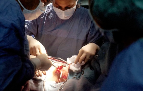 Chicago On Edge As Kidney Donor Trust Takes a Hit Nationwide