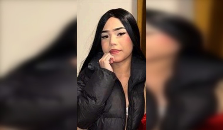 Chicago Police Issue Alert for Missing 15-Year-Old Cheydima Jasper Berris; Public Urged to Assist in Search