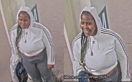 Chicago Police Issue Community Alert After Violent Red Line Robbery in the Loop