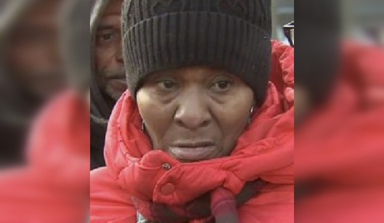 Chicago Police Seek Help to Find Missing Woman Last Seen Near Pink Line