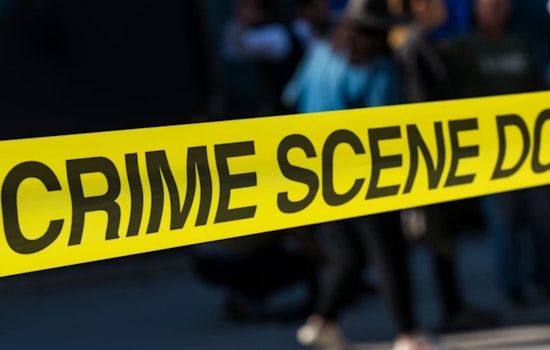 Chicago Reports Seven Homicides Over 18-Hour Span