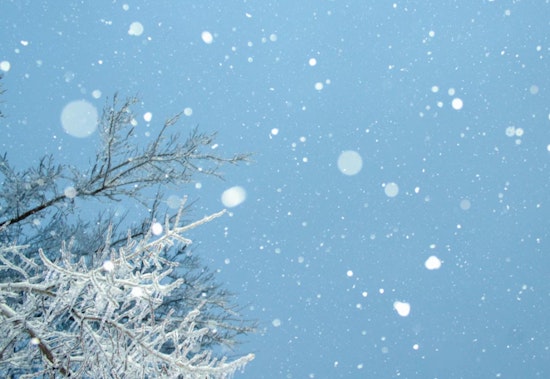Chicago Wraps Up in Frosty Embrace as Temperatures Plummet Despite Recent Warm Spell
