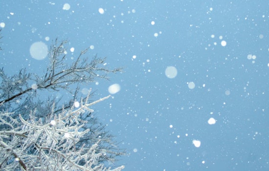 Chicago Wraps Up in Frosty Embrace as Temperatures Plummet Despite Recent Warm Spell